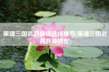 策魂三国武将最佳选择推荐(策魂三国武将兵种搭配)