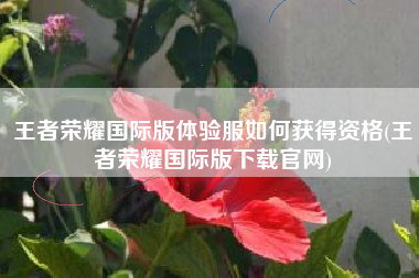 王者荣耀国际版体验服如何获得资格(王者荣耀国际版下载官网)