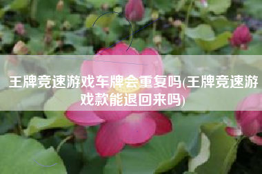 王牌竞速游戏车牌会重复吗(王牌竞速游戏款能退回来吗)