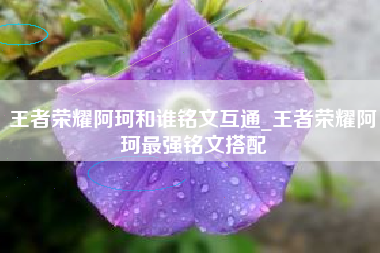王者荣耀阿珂和谁铭文互通_王者荣耀阿珂最强铭文搭配
