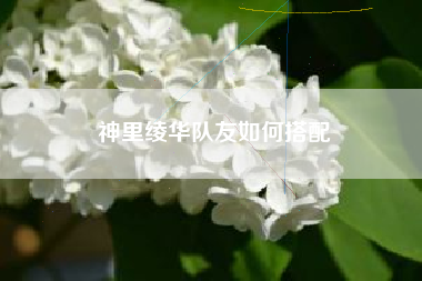 神里绫华队友如何搭配