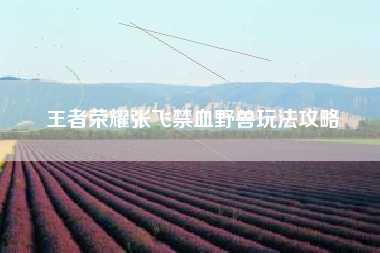 王者荣耀张飞禁血野兽玩法攻略