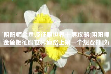 阴阳师金鱼姬征服世界十层攻略(阴阳师金鱼姬征服世界道路上第一个想要打败)