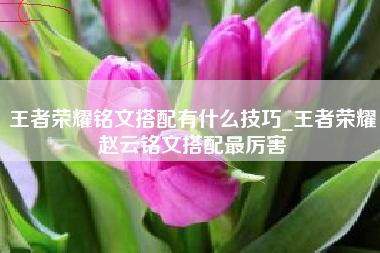 王者荣耀铭文搭配有什么技巧_王者荣耀赵云铭文搭配最厉害