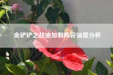 金铲铲之战迪加刺阵容强度分析