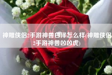 神雕侠侣2手游神兽白泽怎么样(神雕侠侣2手游神兽凶凶虎)