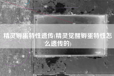 精灵孵蛋特性遗传(精灵觉醒孵蛋特性怎么遗传的)