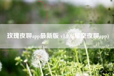 玫瑰夜聊app最新版 v1.0.0(星空夜聊app)