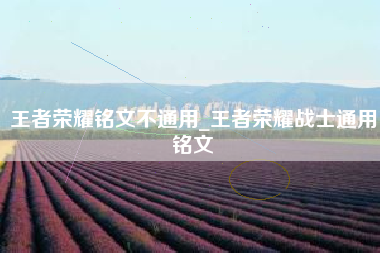 王者荣耀铭文不通用_王者荣耀战士通用铭文