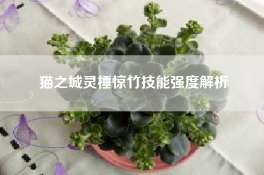 猫之城灵棰惊竹技能强度解析
