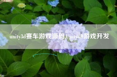unity3d赛车游戏源码,Unity3D游戏开发