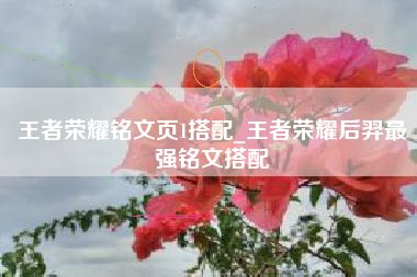 王者荣耀铭文页1搭配_王者荣耀后羿最强铭文搭配