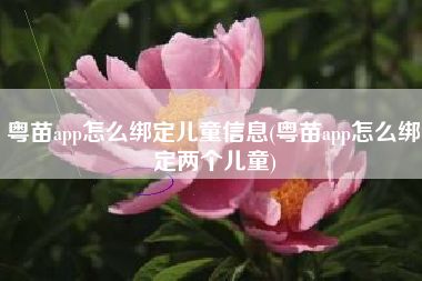 粤苗app怎么绑定儿童信息(粤苗app怎么绑定两个儿童)