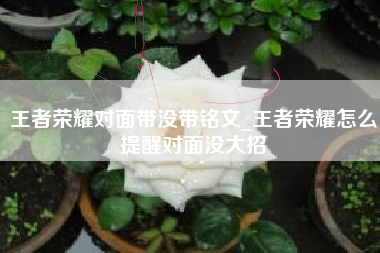 王者荣耀对面带没带铭文_王者荣耀怎么提醒对面没大招