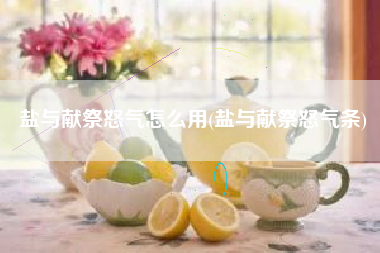 盐与献祭怒气怎么用(盐与献祭怒气条)