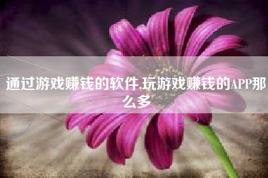 通过游戏赚钱的软件,玩游戏赚钱的APP那么多