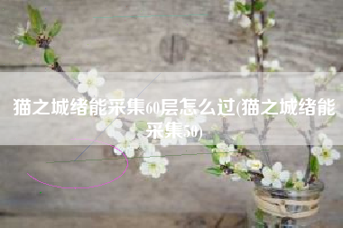 猫之城绪能采集60层怎么过(猫之城绪能采集50)