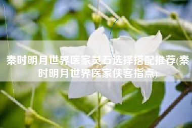 秦时明月世界医家灵石选择搭配推荐(秦时明月世界医家侠客指点)