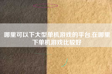哪里可以下大型单机游戏的平台,在哪里下单机游戏比较好