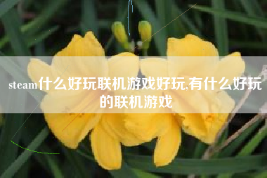 steam什么好玩联机游戏好玩,有什么好玩的联机游戏