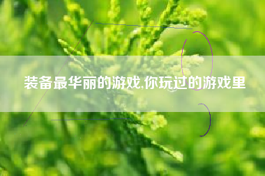 装备最华丽的游戏,你玩过的游戏里