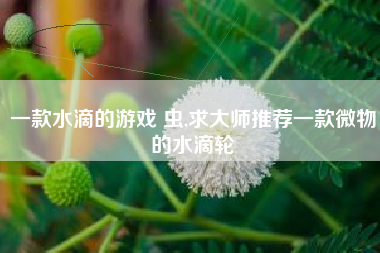 一款水滴的游戏 虫,求大师推荐一款微物的水滴轮