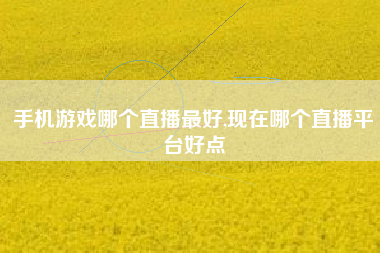 手机游戏哪个直播最好,现在哪个直播平台好点