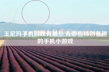 王尼玛手机游戏有哪些,有哪些特别有趣的手机小游戏