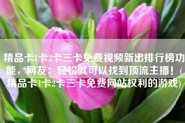 精品卡1卡2卡三卡免费视频新出排行榜功能，网友：轻松就可以找到顶流主播！(精品卡1卡2卡三卡免费网站权利的游戏)