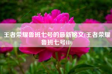 王者荣耀鲁班七号的最新铭文(王者荣耀鲁班七号ID)