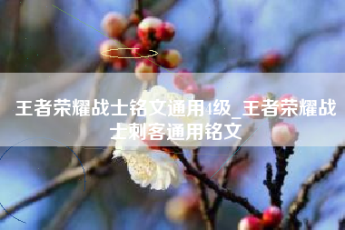 王者荣耀战士铭文通用4级_王者荣耀战士刺客通用铭文