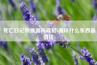 死亡日记物质循环攻略(循环什么东西最值钱)