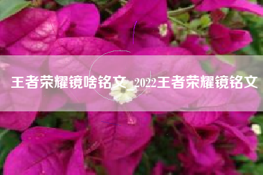 王者荣耀镜啥铭文_2022王者荣耀镜铭文