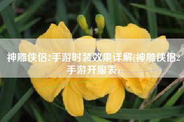 神雕侠侣2手游时装效果详解(神雕侠侣2手游开服表)