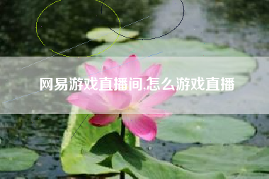 网易游戏直播间,怎么游戏直播