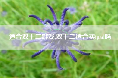 适合双十二游戏,双十二适合买ipad吗