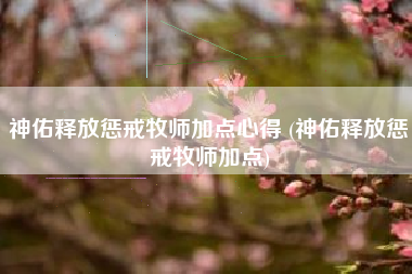 神佑释放惩戒牧师加点心得 (神佑释放惩戒牧师加点)
