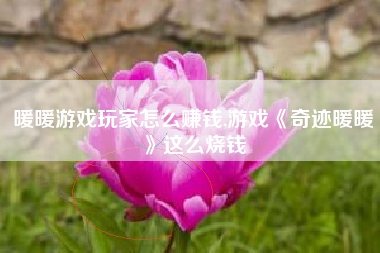 暖暖游戏玩家怎么赚钱,游戏《奇迹暖暖》这么烧钱