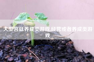 大型宫廷养成类游戏,经营或者养成类游戏