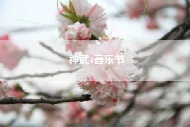 神武4音乐节