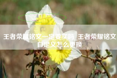 王者荣耀铭文一定要买吗_王者荣耀铭文自定义怎么更换