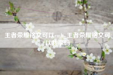 王者荣耀铭文可以rmb_王者荣耀铭文可以共享吗