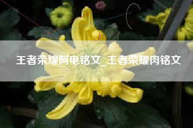 王者荣耀阿电铭文_王者荣耀肉铭文
