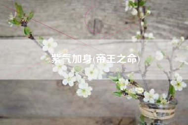 紫气加身(帝王之命)
