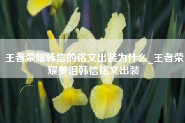 王者荣耀韩信的铭文出装为什么_王者荣耀梦泪韩信铭文出装