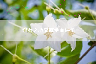 绯石之心艾露全面评价