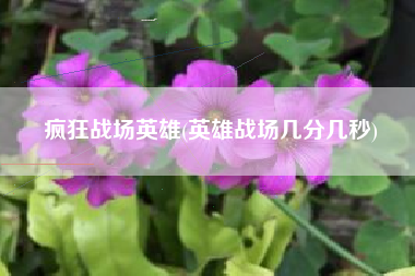 疯狂战场英雄(英雄战场几分几秒)