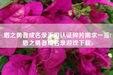 盾之勇者成名录手游认证碎片需求一览(盾之勇者成名录游戏下载)