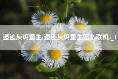 遗迹灰烬重生(遗迹灰烬重生怎么联机)_1