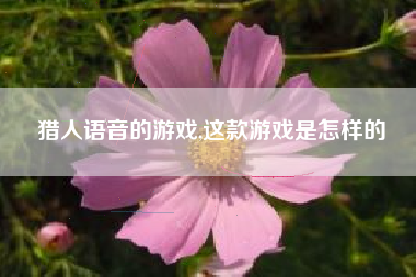 猎人语音的游戏,这款游戏是怎样的